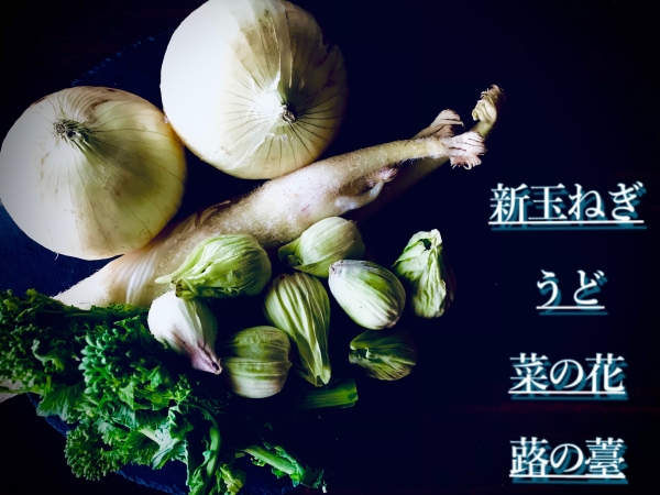 春野菜